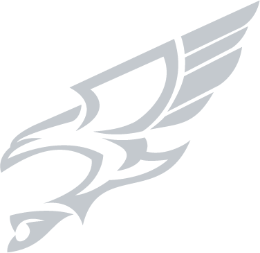 Falk Defence falcon
